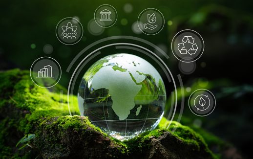 El combate al cambio climático está entrando en una nueva etapa: de las toneladas de CO₂ a los ecosistemas vivos.